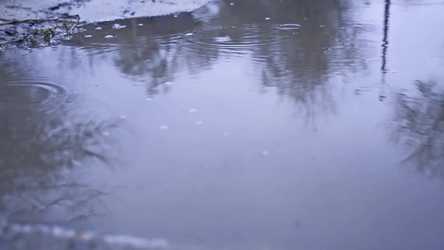 raindrops in a puddle of water splash autumn nature overcast blue gloomily