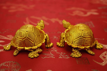 Still life of a pair of gold tortoise figurines