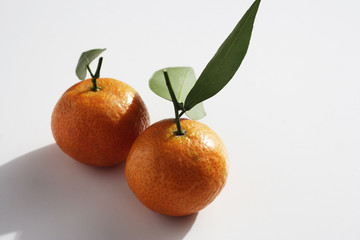 Pair of mandarin oranges