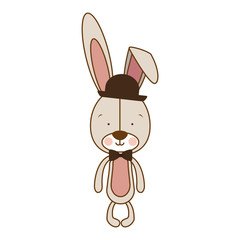 hipster rabbit or bunny icon image vector illustration design 