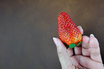 A big strawberry on woman hand. Brown background.