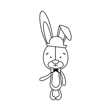 rabbit or bunny icon image vector illustration design 
