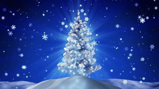 Glowing christmas tree at night outdoor