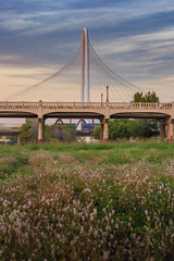 The Margaret Hunt Hill Bridge