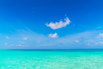 Obraz premium Beautiful tropical Maldives island with white sandy beach and se