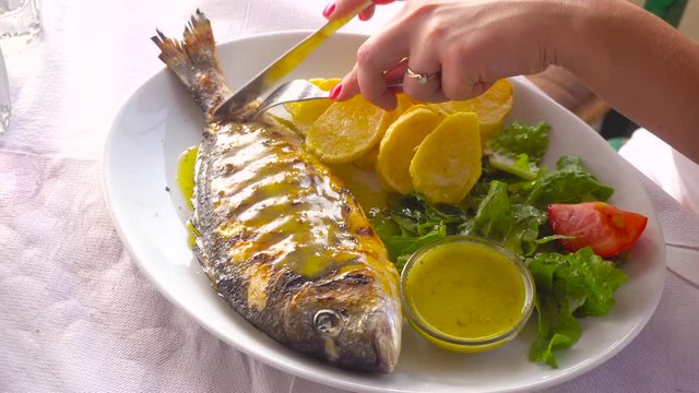 fried fish dorada on plate with potatoes and vegetables