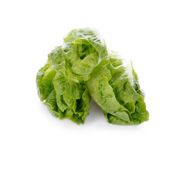 Green salads Costa on white background