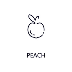 Peach line icon