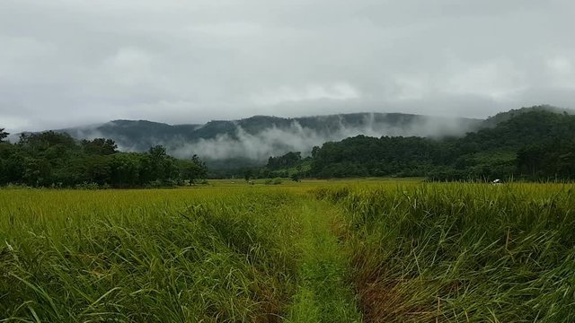 time lapse clouds on the mountain before raining 