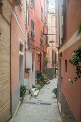 Fototapeta na wymiar Italian village street in Liguaria