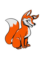 Fox sweet macho witty