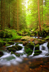 Mountain stream in the National park Sumava-Czech Republic