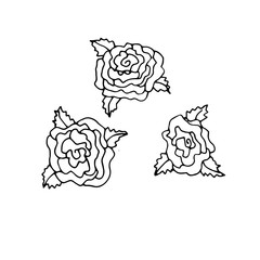 Hand drawn doodle outline magic line art element with floral ornament, rose. Sketch for poster, children or adult coloring pages.