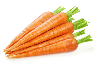 carrots fresh carrots isolated