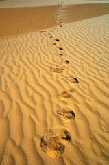 Footprints on the sand
