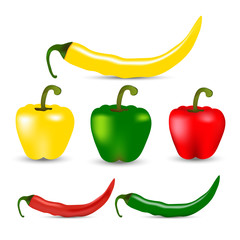 Realistic green, yellow and red pepper vector illustration on white background
