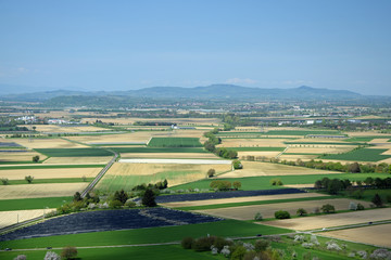 Naklejka premium Rheinebene mit Kaiserstuhl