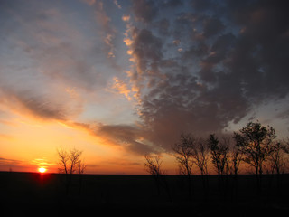Fototapeta premium magical sunrise with tree