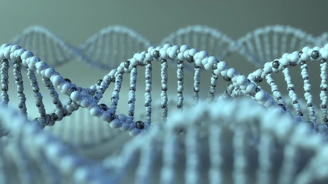 Spinning DNA molecules. Gene, genetic research or modern medicine concepts. 4K seamless loop animation