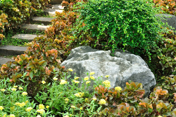 Big rock and stone stairs in garden with beautiful plants