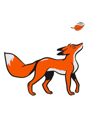 Fox sweet young leaf