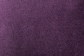 Purple leather texture or leather background. Leather sheet for making leather bag, leather jacket, furniture and other. Abstract leather pattern for design with copy space for text or image.