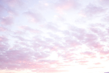 Pink sky