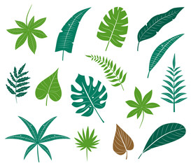Tropical leaves collection.