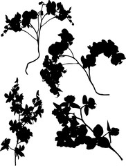 set of four orchid large branches black silhouettes