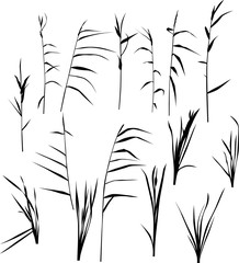 set of fifteen reed silhouettes isolated on white - obrazy, fototapety, plakaty