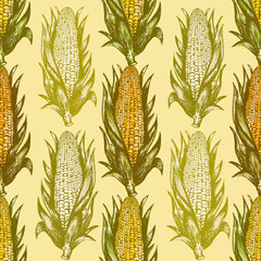 Corn cobs seamless pattern, corn cobs background