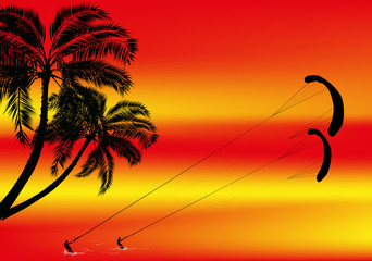 palm tree and windsurfers at red sunset