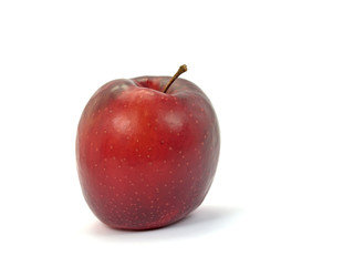 Apfel, Malus, Weihnachtsapfel