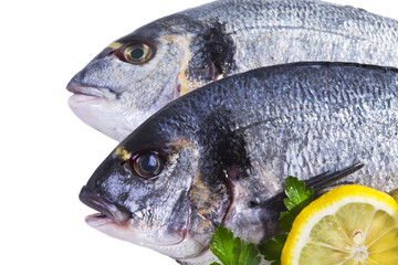 Fish, golden isolated with parsley and lemon