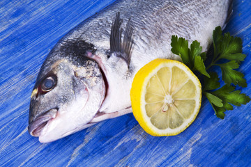 Fish, gilthead with parsley and lemon on blue wooden background