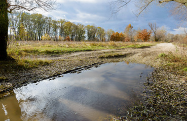 Dramatic view of a puddle after the autumn rain