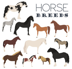 Horse breeding icon set. Farm animal. Flat design