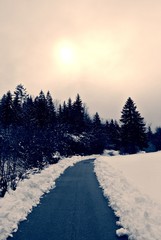 Black and white snowy winter landscape on a cloudy day, on a deserted countryside road. Monochrome image filtered in nostalgic, retro, vintage style with soft focus and red filter. - 126624945