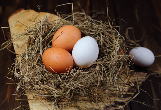 яйца в соломенном гнезде на пне