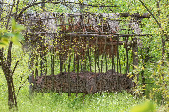 Feeder for wild animals
