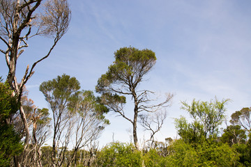 Wilsons Promontory National Park