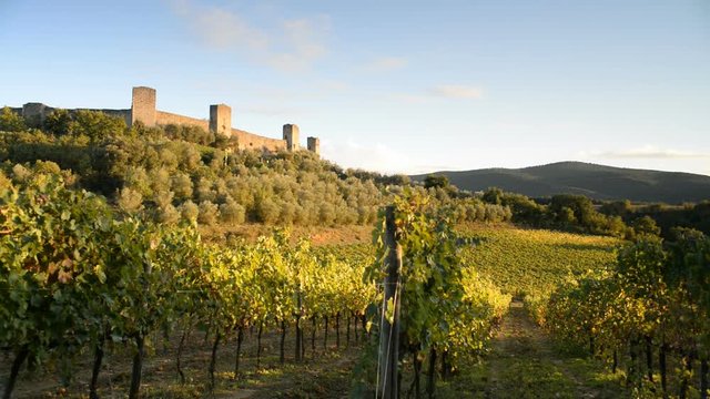 wineyard and fort of Monteriggioni, Tuscany, Italy, EU, Europe
