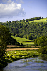 Obraz premium valley of the river wye england wales landscape scenic