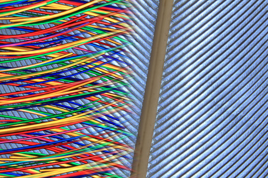Linee di penna d'oca con fili colorati