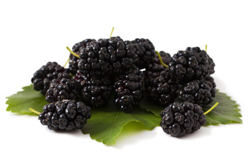 Ripe fresh Mulberry on a white background
