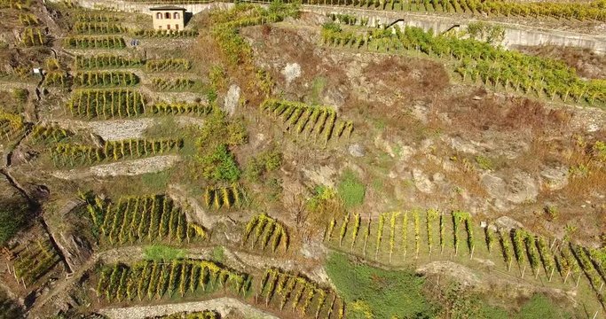 Casa vinicola e campi coltivati - Sorvolo vigneti