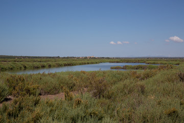 Vogelschutzgebiet Mallorca 
