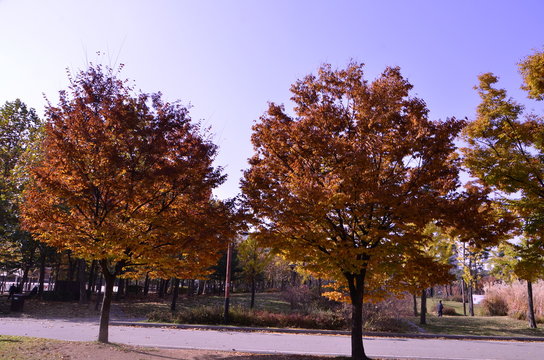 가을