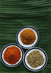 Still life of curry and masala powder on a banana leaf
