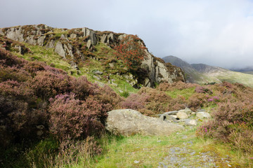 Fototapeta na wymiar Snowdonia National Park in autumn in a rainy and foggy day, North Wales, United Kingdom